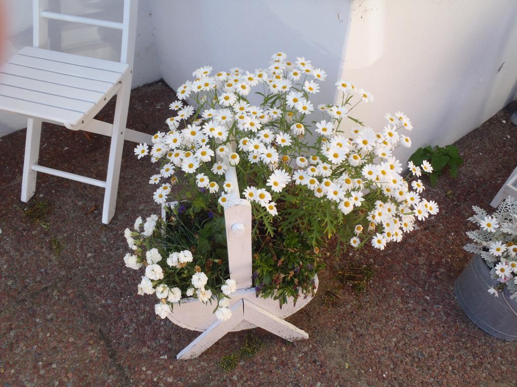 Oddevej 20 Skagen Hotel Luaran gambar